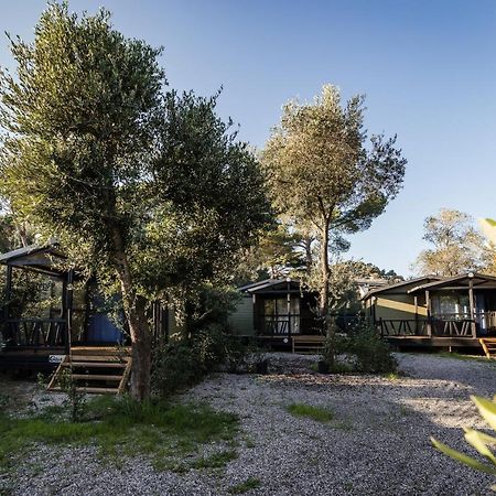 Oasi Camping دْيانو مارينا المظهر الخارجي الصورة